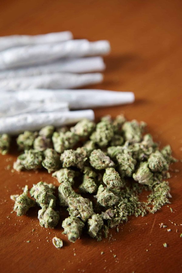 Quelles sont les précieuses informations à connaître sur le hasch CBD ?